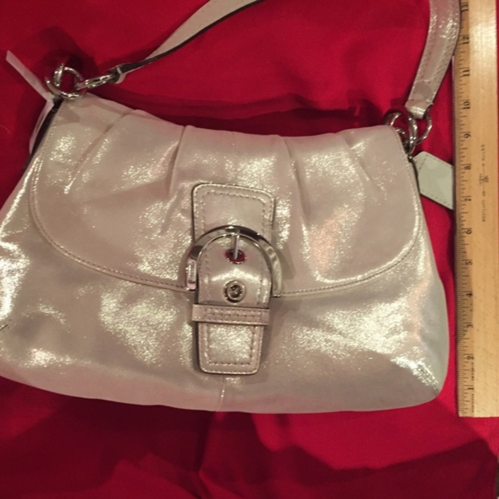Coach Sueded Leather Very Unique Sparkled Bag NWT